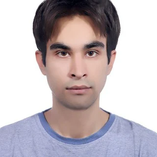 MohammadReza Neshati